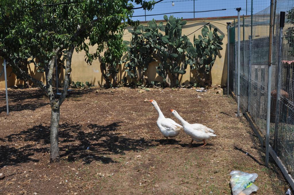 Bed & Breakfast Giardini Di Marzo Lecce Exterior photo